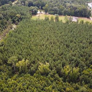 Photo #5 of SOLD property in Off Blue Star Highway , Jarratt, VA 10.0 acres