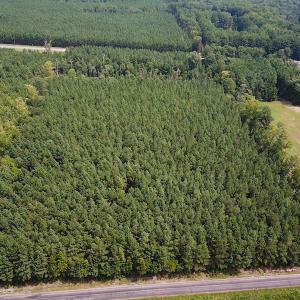 Photo #6 of SOLD property in Off Blue Star Highway , Jarratt, VA 10.0 acres