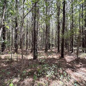 Photo #12 of SOLD property in Off Blue Star Highway , Jarratt, VA 10.0 acres