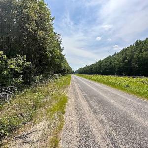 Photo #20 of SOLD property in Off Blue Star Highway , Jarratt, VA 10.0 acres