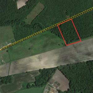Photo #14 of Off Hwy 50, Rose Hill, NC 4.3 acres