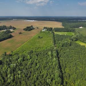 Photo #6 of Off Hwy 50, Rose Hill, NC 4.3 acres