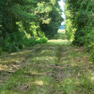 Photo #7 of Off Hwy 50, Rose Hill, NC 4.3 acres