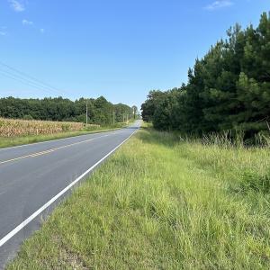 Photo #8 of Off Hwy 50, Rose Hill, NC 4.3 acres