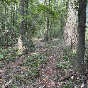 Photo #9 of Off Hwy 50, Rose Hill, NC 4.3 acres