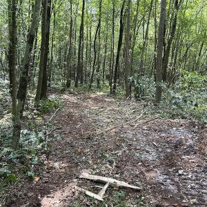 Photo #10 of Off Hwy 50, Rose Hill, NC 4.3 acres