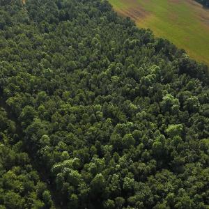 Photo #2 of Off Hwy 50, Rose Hill, NC 4.3 acres