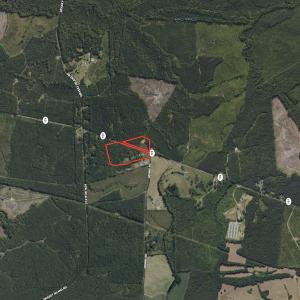 Photo #96 of SOLD property in 46 Dennis Road, Wadesboro, NC 25.2 acres