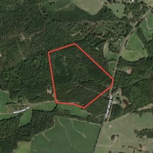 Photo #1 of SOLD property in 1610 Cedar Grove Church Rd, Polkton, NC 40.6 acres