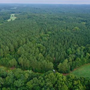 Photo #4 of SOLD property in 1610 Cedar Grove Church Rd, Polkton, NC 40.6 acres