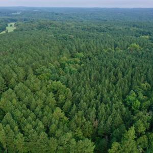 Photo #2 of SOLD property in 1610 Cedar Grove Church Rd, Polkton, NC 40.6 acres