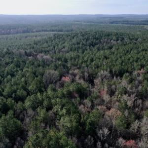 Photo #4 of SOLD property in Off Avery Road SR 1207, Polkton, NC 45.0 acres