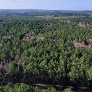 Photo #5 of SOLD property in Off Avery Road SR 1207, Polkton, NC 45.0 acres