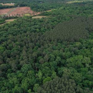 Photo #2 of SOLD property in Off Kiker Road, Peachland, NC 45.1 acres