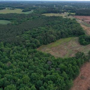 Photo #4 of SOLD property in Off Kiker Road, Peachland, NC 45.1 acres