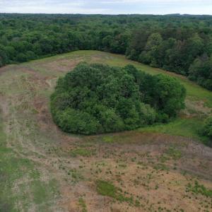 Photo #5 of SOLD property in Off Kiker Road, Peachland, NC 45.1 acres