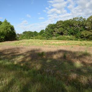 Photo #7 of SOLD property in Off Kiker Road, Peachland, NC 45.1 acres