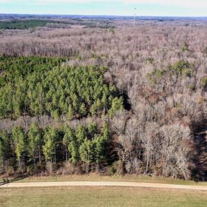 Photo #5 of SOLD property in Off Thomas Road, Polkton, NC 55.5 acres
