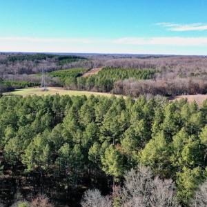Photo #6 of SOLD property in Off Thomas Road, Polkton, NC 55.5 acres