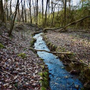 Photo #11 of SOLD property in Off Thomas Road, Polkton, NC 55.5 acres