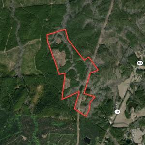 Photo #1 of SOLD property in Off NC Hwy 109 North, Wadesboro, NC 101.2 acres