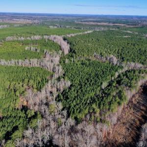 Photo #3 of SOLD property in Off NC Hwy 109 North, Wadesboro, NC 101.2 acres