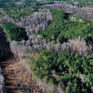 Photo #5 of SOLD property in Off NC Hwy 109 North, Wadesboro, NC 101.2 acres
