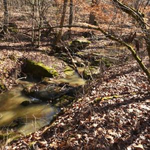 Photo #7 of SOLD property in Off NC Hwy 109 North, Wadesboro, NC 101.2 acres
