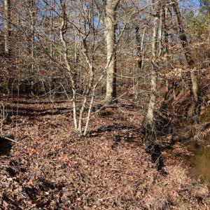 Photo #10 of SOLD property in Off NC Hwy 109 North, Wadesboro, NC 101.2 acres