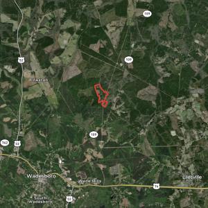 Photo #12 of SOLD property in Off NC Hwy 109 North, Wadesboro, NC 101.2 acres