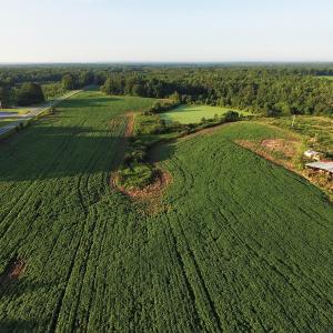 Photo #2 of SOLD property in 135 Jack's Branch Rd and Off US Hwy 52 N, Wadesboro, NC 125.5 acres