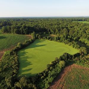 Photo #4 of SOLD property in 135 Jack's Branch Rd and Off US Hwy 52 N, Wadesboro, NC 125.5 acres