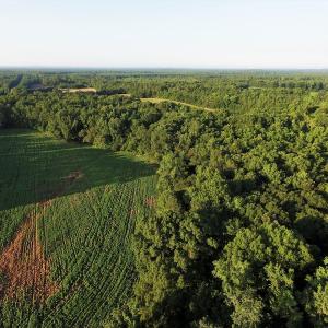 Photo #5 of SOLD property in 135 Jack's Branch Rd and Off US Hwy 52 N, Wadesboro, NC 125.5 acres