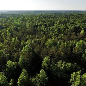 Photo #2 of SOLD property in 8399 Mt. Pleasant Road, Midland, NC 102.0 acres