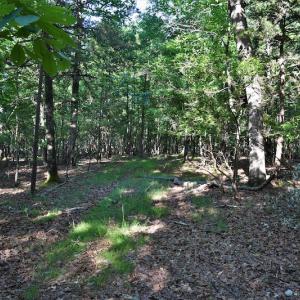 Photo #5 of SOLD property in 8399 Mt. Pleasant Road, Midland, NC 102.0 acres