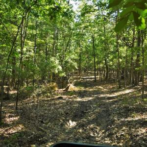 Photo #8 of SOLD property in 8399 Mt. Pleasant Road, Midland, NC 102.0 acres