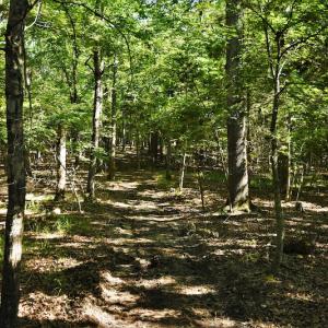 Photo #9 of SOLD property in 8399 Mt. Pleasant Road, Midland, NC 102.0 acres