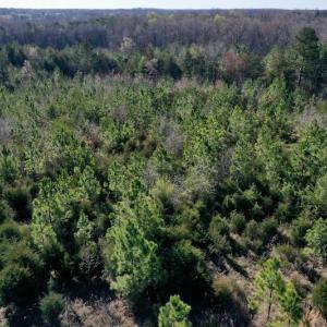 Photo #3 of SOLD property in Off Weavil Road, Winston Salem, NC 24.7 acres
