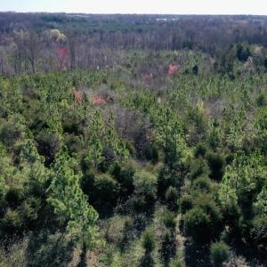 Photo #4 of SOLD property in Off Weavil Road, Winston Salem, NC 24.7 acres
