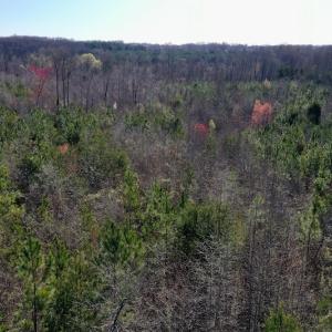 Photo #5 of SOLD property in Off Weavil Road, Winston Salem, NC 24.7 acres