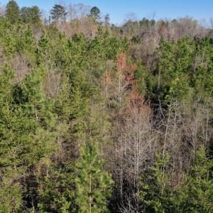 Photo #6 of SOLD property in Off Weavil Road, Winston Salem, NC 24.7 acres