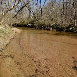 Photo #10 of SOLD property in Off Weavil Road, Winston Salem, NC 24.7 acres