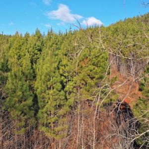 Photo #2 of SOLD property in 318 Crouse Mountain Ln, Lexington, NC 32.9 acres