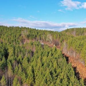 Photo #3 of SOLD property in 318 Crouse Mountain Ln, Lexington, NC 32.9 acres