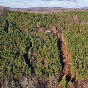 Photo #4 of SOLD property in 318 Crouse Mountain Ln, Lexington, NC 32.9 acres