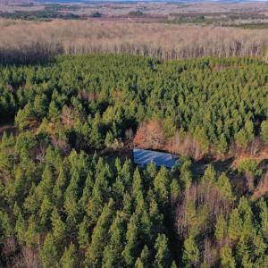Photo #6 of SOLD property in 318 Crouse Mountain Ln, Lexington, NC 32.9 acres
