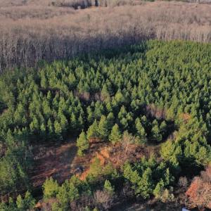 Photo #8 of SOLD property in 318 Crouse Mountain Ln, Lexington, NC 32.9 acres