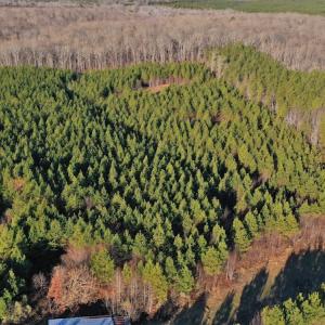 Photo #9 of SOLD property in 318 Crouse Mountain Ln, Lexington, NC 32.9 acres