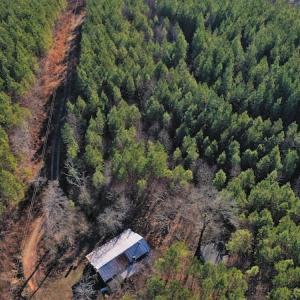 Photo #10 of SOLD property in 318 Crouse Mountain Ln, Lexington, NC 32.9 acres