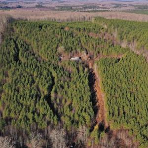 Photo #11 of SOLD property in 318 Crouse Mountain Ln, Lexington, NC 32.9 acres